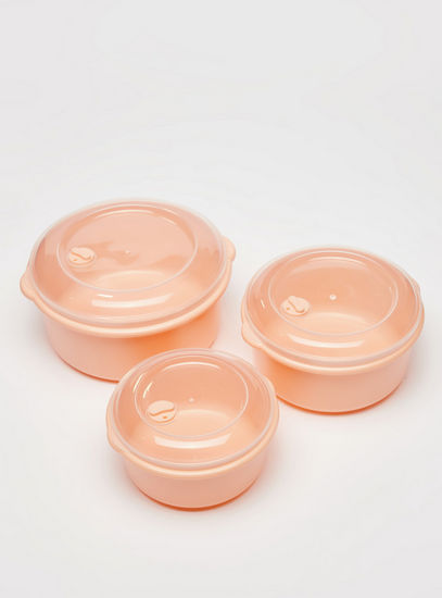 Set of 3 - Solid Storage Container with Lid