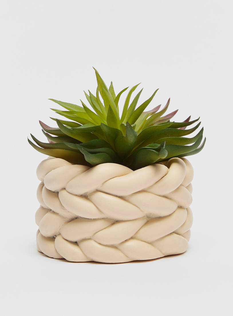Decorative Succulent Plant in Weave Textured Cement Planter-Potted Plants-image-0