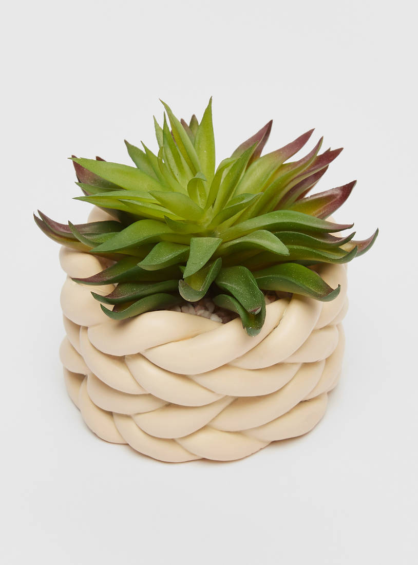 Decorative Succulent Plant in Weave Textured Cement Planter-Potted Plants-image-1