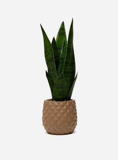 Snake Plant in Textured Pot-Potted Plants-image-0