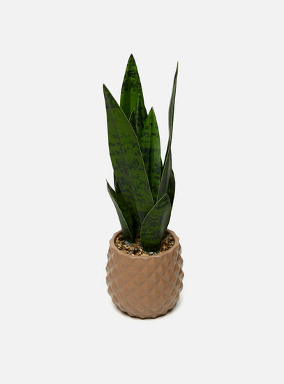 Snake Plant in Textured Pot-Potted Plants-image-1