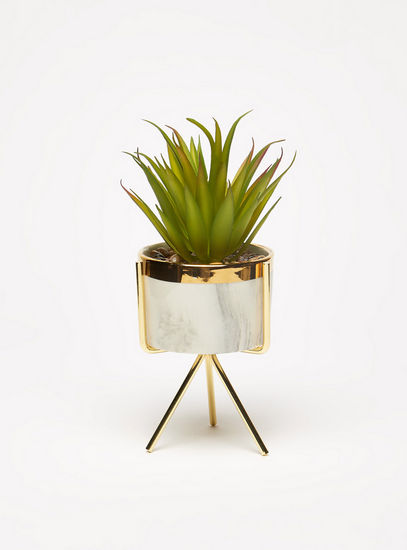Succulent Plant in Marble Pot and Metallic Stand