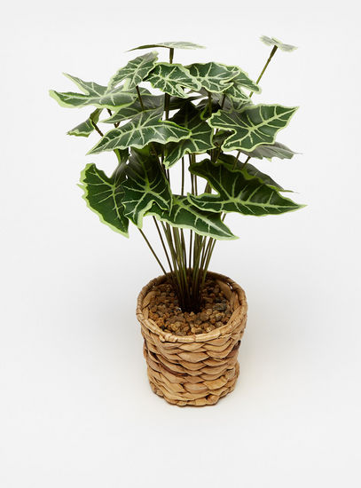 Decorative Plant in Weave Textured Pot