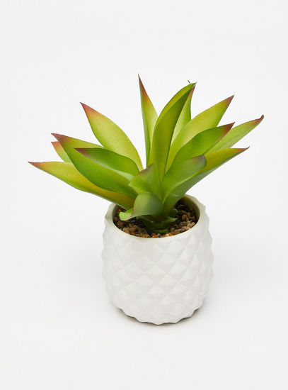 Plant in Ceramic Pot-Potted Plants-image-1