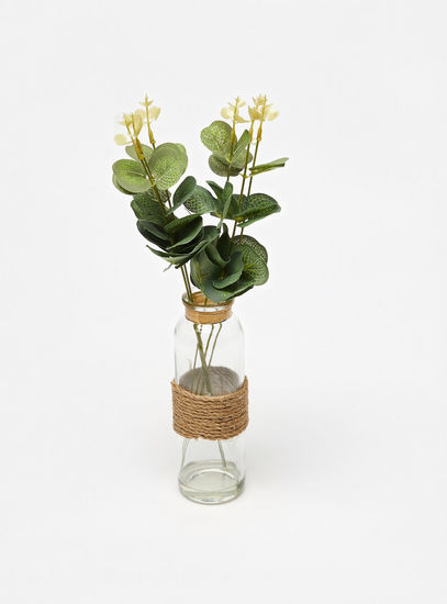 Glass Vase with Plant