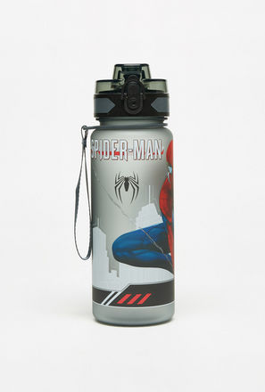 Spider-Man Print Water Bottle