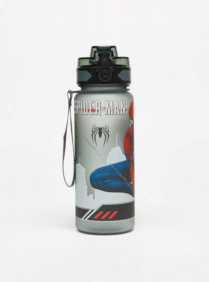 Spider-Man Print Water Bottle