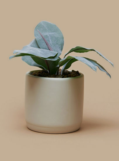 Plant in Cement Pot-Potted Plants-image-0