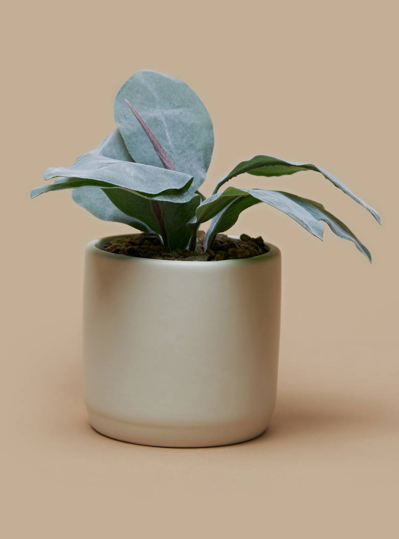 Plant in Cement Pot-Potted Plants-image-0