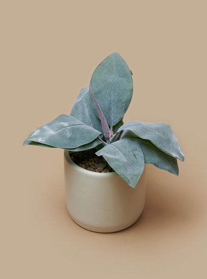 Plant in Cement Pot-Potted Plants-image-1