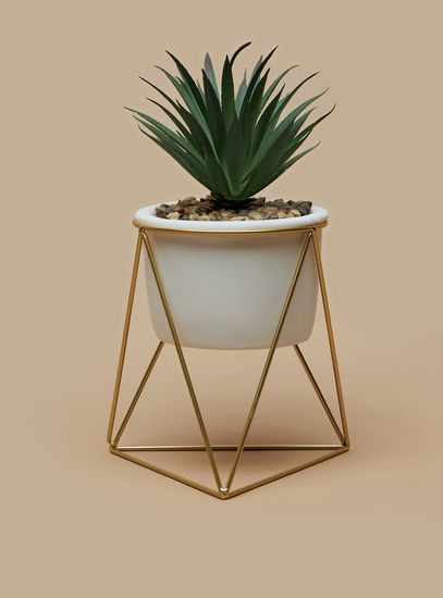 Decorative Plant with Pot-Potted Plants-image-0