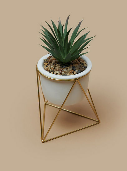 Decorative Plant with Pot-Potted Plants-image-1