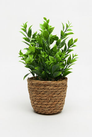 Decorative Plant with Jute Pot
