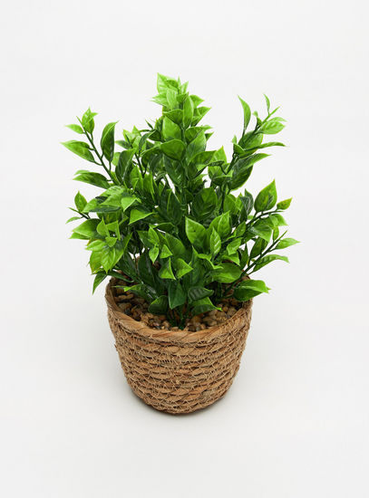 Decorative Plant with Jute Pot-Potted Plants-image-1