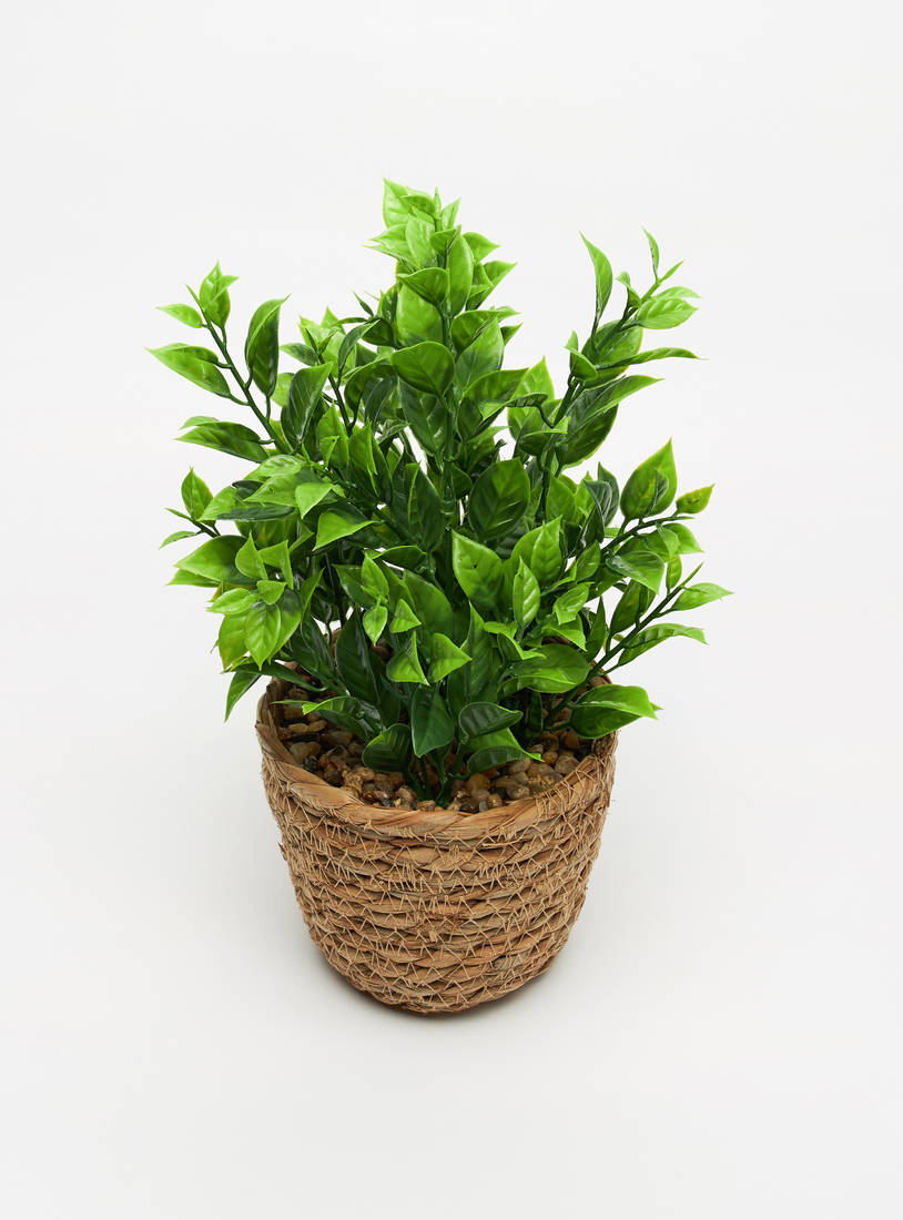 Decorative Plant with Jute Pot-Potted Plants-image-1