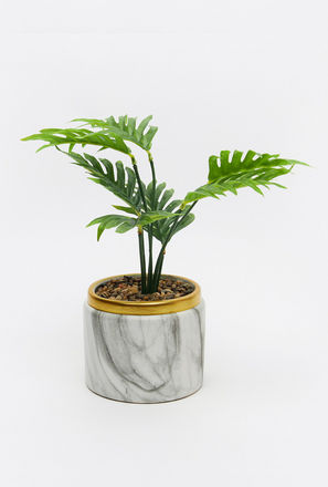 Plant in Marble Pot