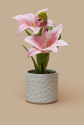 Decorative Flower in Cement Pot