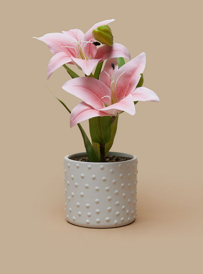 Decorative Flower in Cement Pot-Potted Plants-image-0