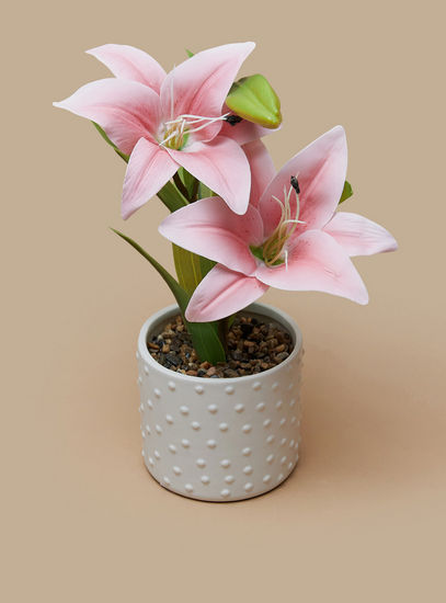 Decorative Flower in Cement Pot-Potted Plants-image-1