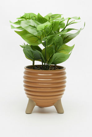 Decorative Plant in Pot