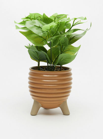 Decorative Plant in Pot-Potted Plants-image-0