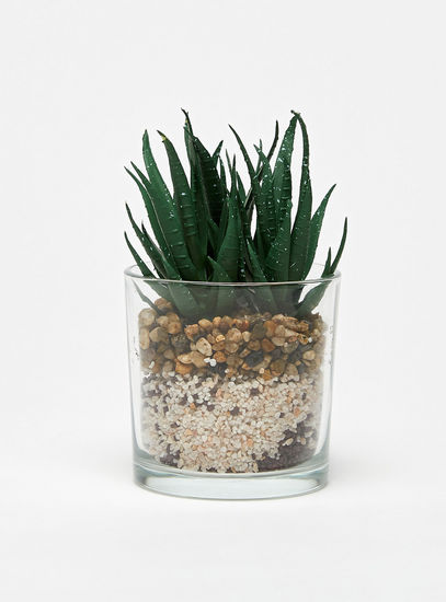 Decorative Plant in Transparent Cylindrical Planter-Potted Plants-image-0