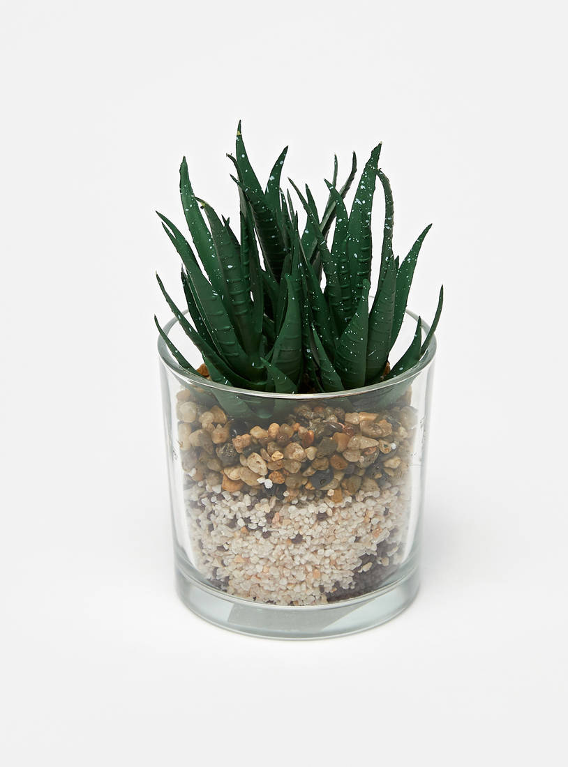 نبات ديكور في إناء أسطواني شفّاف-نباتات الأصص-image-1