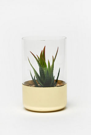 Decorative Succulent in Cylindrical Planter-mxhome-decorandgifting-artificialflowers-2