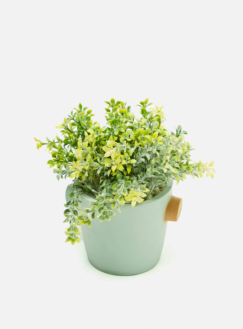 Decorative Plant in Pot-Potted Plants-image-1