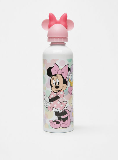 Minnie and Daisy Print Aluminium Sipper Bottle - 750 ml-Water Bottles-image-0