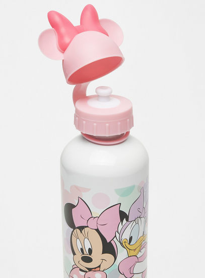Minnie and Daisy Print Aluminium Sipper Bottle - 750 ml-Water Bottles-image-1