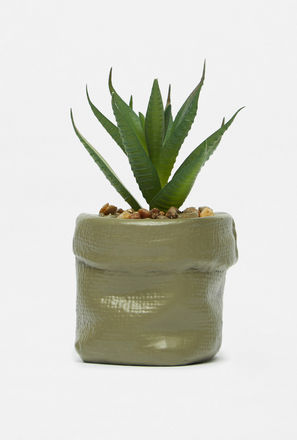 Decorative Succulent in Cement Pot-mxhome-decorandgifting-vaseanddecobowls-2