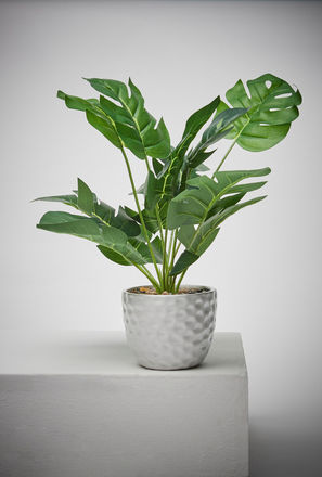 Potted Plant - 42x11 cm-mxhome-decorandgifting-pottedplants-0