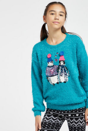 Embellished Sweater with Round Neck and Long Sleeves