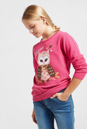 Owl Embellished Sweater with Round Neck and Long Sleeves