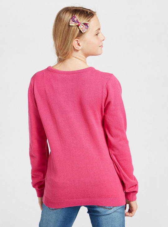 Owl Embellished Sweater with Round Neck and Long Sleeves
