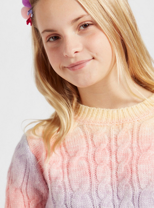 Chenille Patterned Round Neck Sweater with Long Sleeves