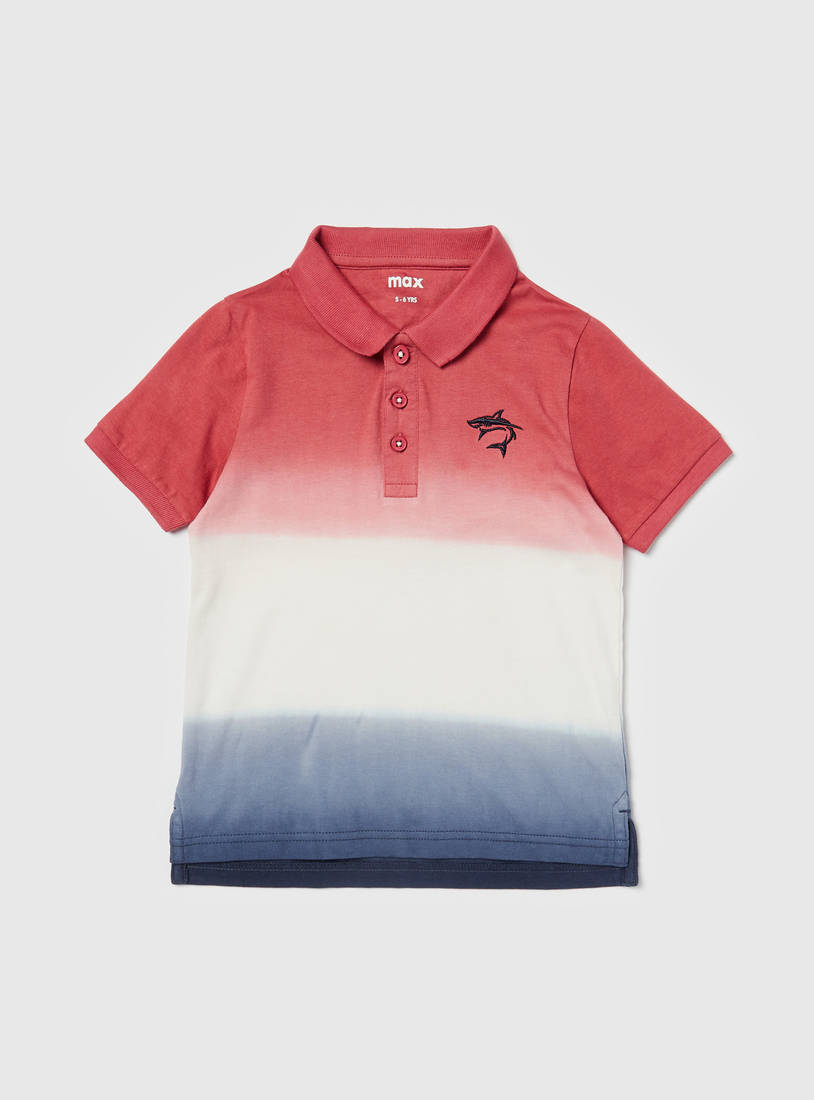 Ombre Polo T-shirt with Short Sleeves and Button Closure-Polo Shirts-image-0