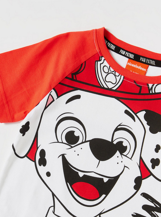 Paw Patrol Colourblock Round Neck T-shirt with Short Sleeves