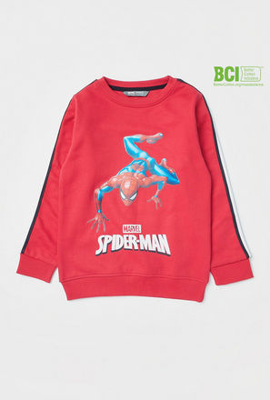 Spider-Man Print BCI Cotton Sweatshirt with Round Neck and Long Sleeves