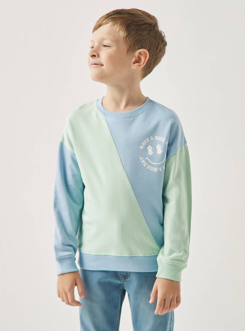 Colourblock Sweatshirt with Crew Neck and Long Sleeves-Hoodies & Sweatshirts-image-0