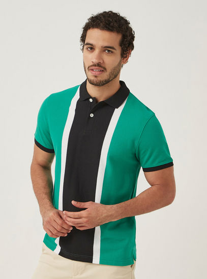 Panelled Polo T-shirt with Short Sleeves and Button Closure