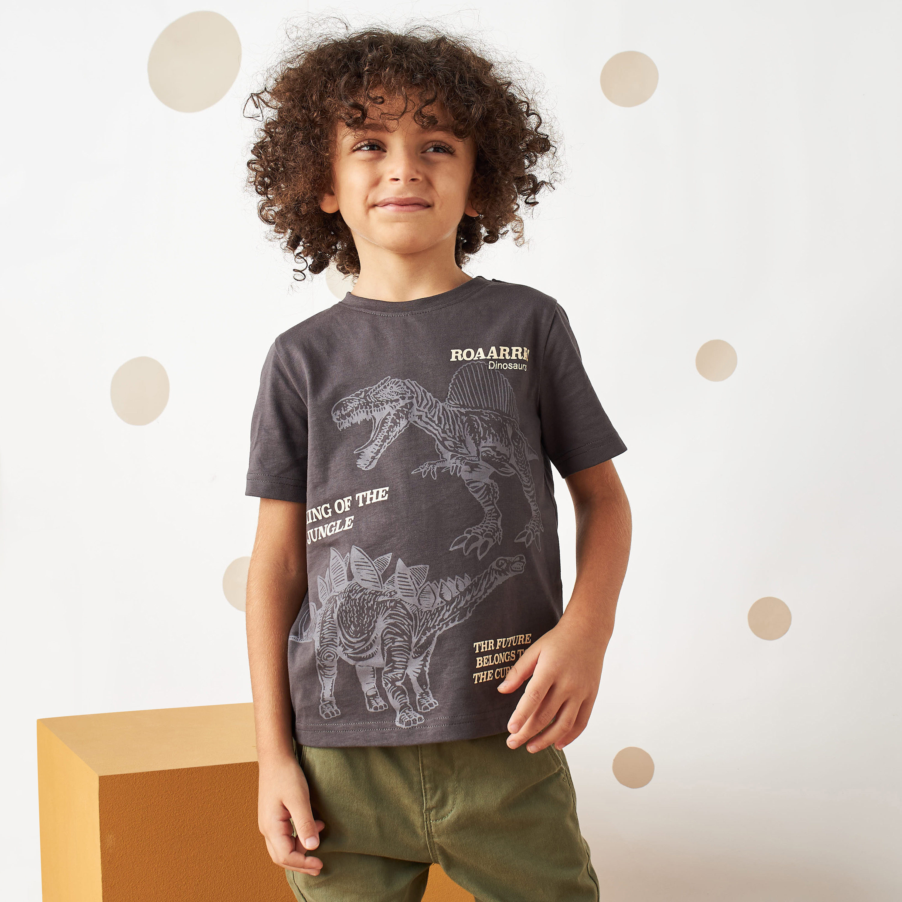 Dinosaur print t shirt online