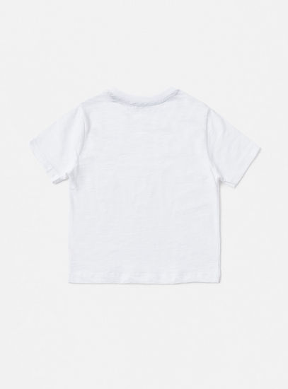 Solid BCI Cotton T-shirt with Round Neck and Short Sleeves