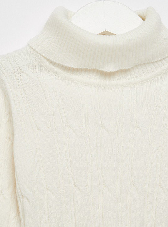 Textured Sweater with Turtleneck and Long Sleeves