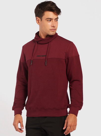 Solid Sweatshirt with Cowl Neck and Panel Detail