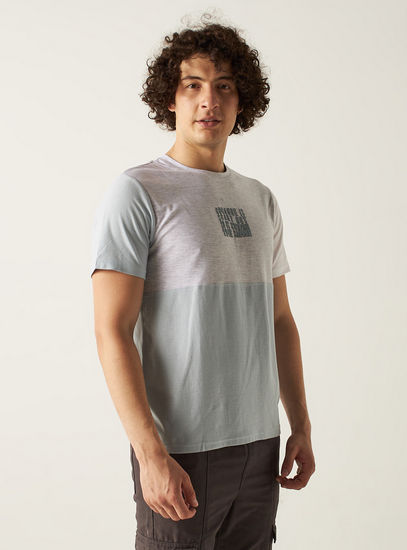 Colorblock Crew Neck T-shirt with Short Sleeves and Embroidery Detail