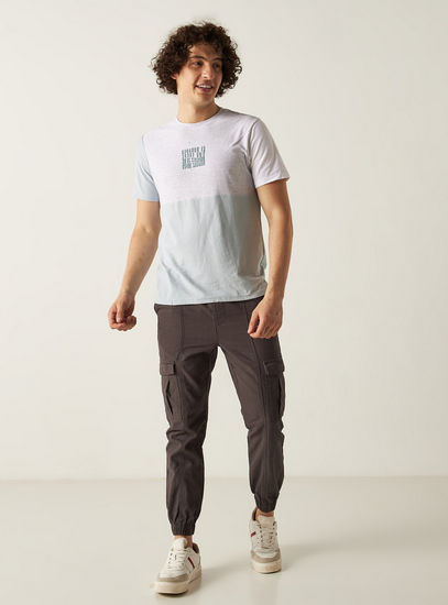 Colorblock Crew Neck T-shirt with Short Sleeves and Embroidery Detail