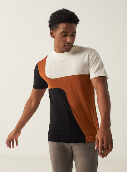 Colourblock Sweater with Crew Neck and Short Sleeves