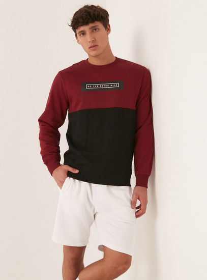 Panelled Sweatshirt with Crew Neck and Long Sleeves